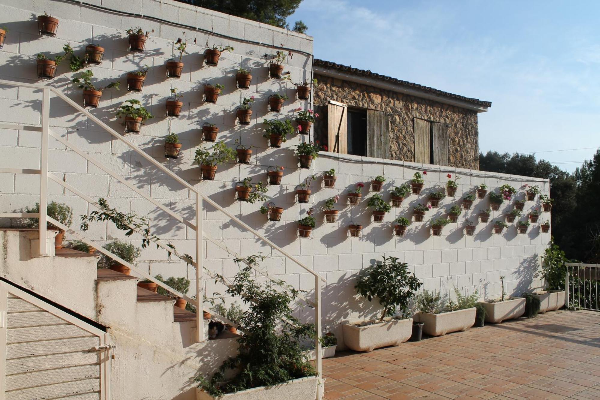 La Casa Dels Boscos Βίλα Ταραγόνα Εξωτερικό φωτογραφία