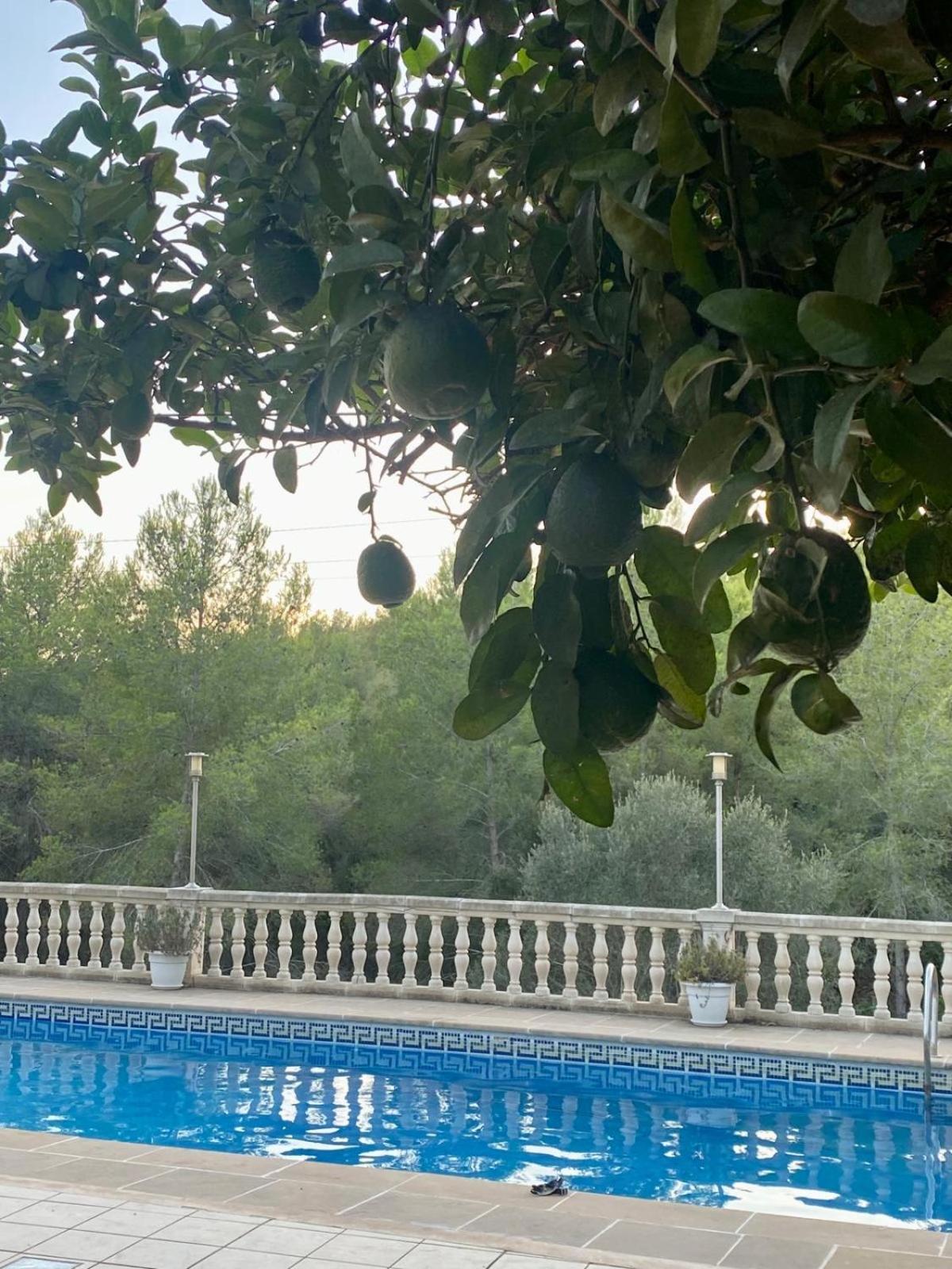 La Casa Dels Boscos Βίλα Ταραγόνα Εξωτερικό φωτογραφία